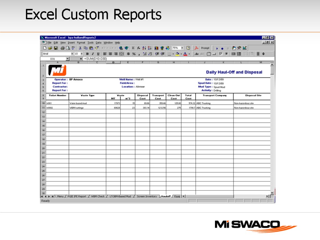 Excel Custom Reports
